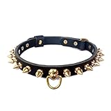 feiling Hundehalsband Leder mit Messing Nieten Einstellbare Katzen Halskette Haustier Lederhalsband für Welpen, Kleine und Mittlere Hunde (schwarz, XXS)