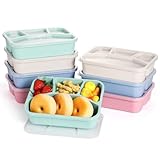 Chewtoyo Lunchbox Bento 8 Stück, Box Bento 4 Fächer, Behälter Lunch Meal Prep, Behälter Lebensmittelecht Spülmaschine und Mikrowelle Wiederverwendbar, Deckel mit Box Lunch für Reisen, Arbeit, Schule,