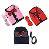 GARVALON 3 Stück Verstellbares Netzgeschirr für Kleine Haustiere Atmungsaktives Brustgeschirr mit Leine für Kaninchen Welpen Katzen Eichhörnchen und Frettchen