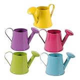 Homoyoyo Kleine Kindergießkanne aus Eisenblech Kleiner Gießkanne für Pflanzenbewässerung 5 Stück Bunte Gartengießkannen für Terrasse und Dekoration