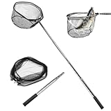 wiipara Kescher Angeln 155cm Teleskop Kescher | Klappbarer Karpfenkescher aus Aluminium | Fischernetz für Teich, Fluss & See | Langlebiges Angelzubehör für Erwachsene, Jugendliche & Kinder