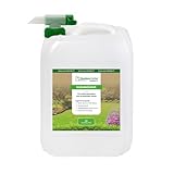 BodenLiebe RASENBLITZ Sommerdünger Nachfüllpack – 10 L für 500–1000 m², flüssiger Bio-Rasendünger gegen Trockenstress & blasse Stellen, nachhaltig & tierfreundlich