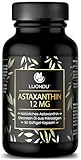 Astaxanthin 12mg Astaxanthin Hochdosiert - 90 Astaxanthin Softgel Kapseln - Astaxanthin Kapseln Natürliches Astaxanthin - Antioxidantien Astaxantin Astaxanthin Bräunungskapsel - Luondu