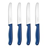 targzier Tafelmesser,Frühstücksmesser 4 Stück,Hochwertiges Brötchenmesser Set,Edelstahl Tomatenmesser Wellenschliff,Scharf Messer Set,Küchenmesser Klein,Kunststoffgriff Buttermesser,Blau