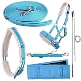 NETPROSHOP Longieren Zubehör Farbe Hellblau Wählen Sie: Zaum, Longe, Pad oder Gurt usw., Auswahl:Longierbrille, Groesse:One Size