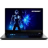 ERAZER Defender 17 P1 43,9 cm (17,3 Zoll 144Hz) Full HD Gaming Laptop (Core 7 240H, GeForce RTX 5060 8GB GDDR7 VRAM, 32GB DDR5 RAM, 2TB PCIe SSD, Windows 11 Home)