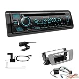 Kenwood KDC-BT960DAB 1-DIN Autoradio CD-Tuner mit Bluetooth Digitalradio DAB+ inkl. Einbauset passend für Seat Ibiza IV Ibiza IV ST ab 2008 dublingrey