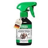 RepellShield® Spinnenspray mit Geraniol - 250ml - Ultrakonzentriertes Insektenspray zur Spinnenabwehr - Anti Spinnenspray - Nicht färbend, Innen- & Außenanwendung