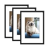 RUN HELIX 3 Pack Bilderrahmen A2, A2 Bilderrahmen Schwarz, Fotorahmen zum Aufhängen mit Poster, Posterrahmen Benutzt für Wohnzimmer, Schlafzimmer, Arbeitszimmer