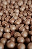 1 kg Macadamianüsse in Schale, ungeröstet, naturbelassen, Top-Qualität, günstiger Preis