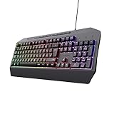 Trust Gaming GXT 836 Evocx Gaming Tastatur mit Deutsches QWERTZ Layout, 78% Recyclingkunststoff, RGB-Beleuchtung, Anti-Ghosting, Medientasten, Gaming Keyboard USB für PC/Laptop - Schwarz