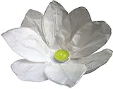 10 Stück Wasserlaterne Lotusblüte Seerose Schwimmlaterne Schwimmkerzen Outdoor Laterne mit Teelichter Kerzen Windlicht Weiß