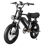 VDL E Bike Elektrofahrräder-Ebike mit 36V 13Ah Herausnehmbare Batterie, E-Bike 16 * 3.0 Zoll Fette Reifen, Off-Road Mountainbike, Elektrofahrrad Herren Damen Elektro Fahrrad mit LCD-Display