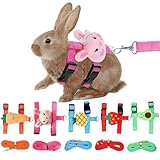 Zuxbolf 5 Stück Kaninchen Leine 140cm Verstellbare Kaninchengeschirr Katzengeschirr Hasengeschirr Hasenleine Kaninchen Geschirr mit Leine für Katzen, Kleine Hunde und Andere Kleine Haustiere