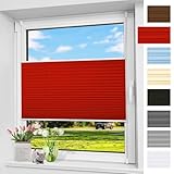 Plissee Ohne Bohren Verdunkelung 70 x 120 cm Sonnenschutz, Lichtdurchlässig Sonnenschutz Jalousie Klemmfix Rollos Nach Maß, mit Klemmfix für Fenster Und Tür, Rot