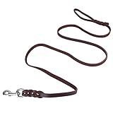 Hundeleine Leder,Fettlederleine Hund, Verkehrsleine Für Hunde,Haustier-Hundeleine Sicherheitsseil Rindsleder Und Ledergürtel Für Gehens Lauftraining (1,2 Meter)
