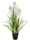 Künstliches Pampas Gras im Topf Feder-Gras Ufergras Seidenblumen Grasbusch Dekogras Kunstpflanzen Pflanzen Solitärgras Ziergras Pampasgras Kunstblume Kunstgras Grünpflanze Zimmerpflanze