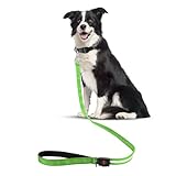 LED-Hundeleine, wiederaufladbar, wiederaufladbar, mit 4 Modi, wasserdicht und reflektierend, leuchtet im Dunkeln, Haustier-Leine für nächtliche Spaziergänge, Nylon-Sicherheitsleine (4 Modi) (Grün)