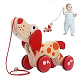 Weldphur -Laufspielzeug, Nachzieh-Laufspielzeug,Nachzieh-Laufspielzeug aus für Kleinkinder - Entwicklungsförderndes Nachziehspielzeug, Push-Kinderspielzeug für Mädchen und Kinder