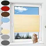 Plissee Klemmfix Ohne Bohren 110 x 130 cm Verdunklungsplissee Uv-Schutz Faltrollo Klemmfix, Blickdicht Faltrollo Nach Maß, mit Klemmfix für Fenster Und Tür, Creme Farben