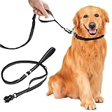 Schleppleine für Hunde 3 Meter, Robuste Hundeleine Lang, Verstellbare Doppelleine, Rostfreier Frosch-Karabiner, Trainingsleine Laufleine für Große & Kleine Hunde (Schwarz)
