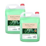 Intercabo Eukalyptus Shampoo - 2er-Pack à 5 L - erfrischendes & revitalisierendes mit natürlichem Eukalyptusduft, sanfte Reinigung & Pflege für alle Haartypen, Nachfüllkanister für tägliche Anwendung