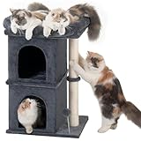 Aechonow 61cm Kratzbaum für Große Katzen Stabil, 2 Katzenhöhle fur Indoor Klein Katzen, Katzenbaum mit Große Liegefläche(48 x 40cm),71cm Hohe Katzentonne Klein, Dunkel Grau