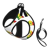 Hundegeschirr und Leine mit Senegal-Flagge, reflektierend, verstellbar, Welpenweste für kleine, mittelgroße und große Hunde, Katzen