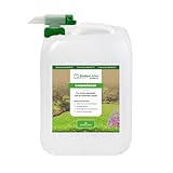 BodenLiebe RASENBLITZ Sommerdünger Nachfüllpack – 5 L für 250–500 m², flüssig & sofort wirksam, nachhaltiger Rasendünger bei Trockenstress, ideal zur Auffrischung