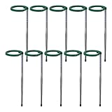 Dtaigou Pflanzenstützstäbe – Indoor-Pflanzstäbe ausziehbar, Edelstahl-Stielhalterstange mit Clip für, Tomatenbohnen, Lilien, Sonnenblumen, Bonsai