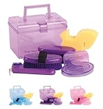 netproshop Mini Gift Box Putzbox mit verschiedenen Bürsten in gleicher Farbe ca.20x13x14cm, Farbe:Lila