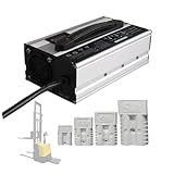 WLEJSL Intelligentes 900 W Ladegerät für Blei Säure Batterien, 24 V 25 A Ladegerät für Elektrostapler mit 50 A/120 A/175 A/350 A Anderson Stecker für Scheuersaugmaschinen und Golfwagen,175A