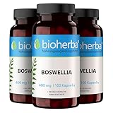 Weihrauchkapseln – 300 Stück mit Boswellia Serrata & Zink zur Erhaltung normaler Knochen – von BIOHERBA | PZN 17190878
