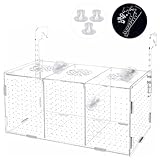 Fischzucht Kasten mit Saugnäpfen, Isolationsbox Aquarium, Acryl Aquarium Isolationsbox, Aquarienfisch-Zuchtbox Transparente Fische Sämlinge Inkubator Brutkasten, Aufzuchtbecken Aquarium für Babyfische