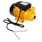 Eujgoov 200 W DC High Lift Solarpumpe Selbstansaugende 25 M Flachbrunnenpumpe für Bewässerungstransfer NPT 1 Zoll Einlass Auslass