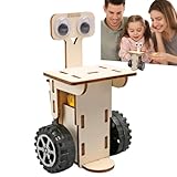 Feines Automobil-Bauroboter-Bauspiel – Logik-Denkspiel | Bastelset zum Thema Roboter, Spielzeug zur Entwicklung des Gehirns, Lerngebäude, Robotermontage-Set Sn