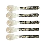 Kaviarlöffel mit runden Griffen, Muschelperlenlöffel-Set, Kaviar-Server-Erlebnis, dekoratives elegantes Design für Familie, Freunde, Kollegen