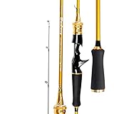 KIZQYN Angelrute Offshore Bootsrute Boot Angelrute Meer Fischerboot Raft Rod Seebarsch Rod Teleskop Angelrute Angel-Combos (Color : P, Size : 1.8m)