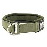 Hundehalsband (5cm breit) mit Nylon, Schaumstoff, Neopren, weich bequem,Edelstahl-D-Schlaufen, einfache Kontrolle, reflektierende Sicherheitsstreifen, leicht zu reinigen und schnell trocknend