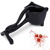 Zitronenquipstab (Black)