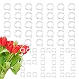 Gartenclips für Pflanzen, Tomatenclips - Schraubclips für Gartenpflanzen 200 Stück kleine Tomaten, Gartenclips für Kletterpflanzen, Befestigungsclips für Obstgemüse