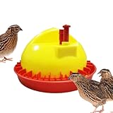 Wachtel-Kükenbewässerung, verstellbare Höhe, automatischer Geflügel-Wasserbehälter, Enten, Wachteln, Bewässerungsbecher – für Tauben, Tauben, Truthahn, Enten, Häschen