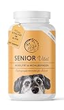 Annimally Senior Vital 120 Gelenktabletten für Hunde mit MSM, Ingwer, Weihrauch, Spirulina Mobilität und Wohlbefinden für Gelenke, Knorpel & Bindegewebe Tabletten