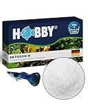 HOBBY Aquaristik Ektozon N I 125 g I Arzneimittel für Fische gegen Pilze und Bakterien I effektive Behandlung für gesunde Aquarienbewohner I Pflegemittel für Süß- und Meerwasserfische
