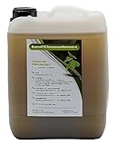 BrennniFIX organischer Dünger für alle Pflanzen-Arten, Gemüsedünger flüssig aus Brennnessel-Konzentrat, Brennesseljauche zur Blattlaus-Bekämpfung, Tomatendünger 5L