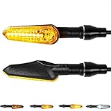 evermotor Blinker Motorrad LED Lauflicht e-geprüft, 2 Stück Laufeffekt bernsteinfarbenes Blinklicht & weißes Positionslicht, IP67 Wasserdicht, 12V für Motorrad, Scrambler, Touring, Street-Bikes