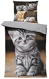 Katzen Bettwäsche 135x200 cm süße Katze Welpen Babykatzen grau Wende Microfaser
