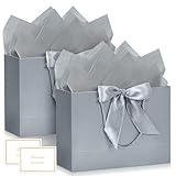 BBLIKE Geschenktüten mit Henkel - 2 Geschenktasche 2 Grußkarten 4 Sydney Paper, Papiertüten mit Henkel, Geschenkverpackung für Geschenk, Geburtstag, Feier, Hochzeit (Silber)