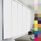 Sun World Schiebegardinen nach Maß, hochqualitative Wertarbeit, alle Größen verfügbar, Maßanfertigung, Schiebevorhang, Raumteiler, Flächenvorhang, Blickdicht (160cm Höhe x 60cm Breite/Weiß)