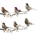 Künstliche Vögel mit Federn und Clip,xlwen 6 Stück Künstliche Vögel Feder Vogel Modell,Mini Vogel Dekofigur,6 Farben Vogel Mit Clip für Handwerk, Garten, Vogel, Partydekorationen